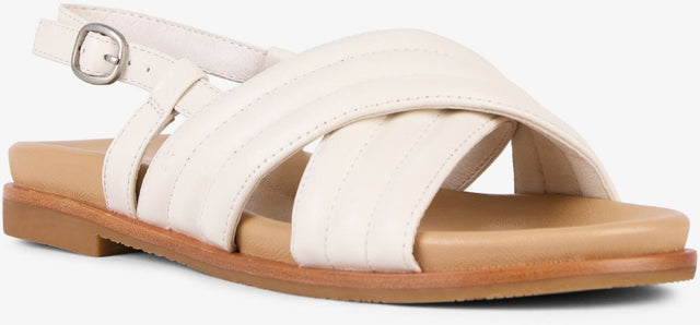 Borradaile coconut