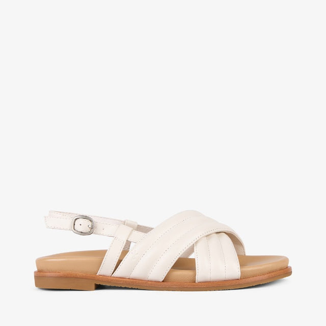 Borradaile coconut