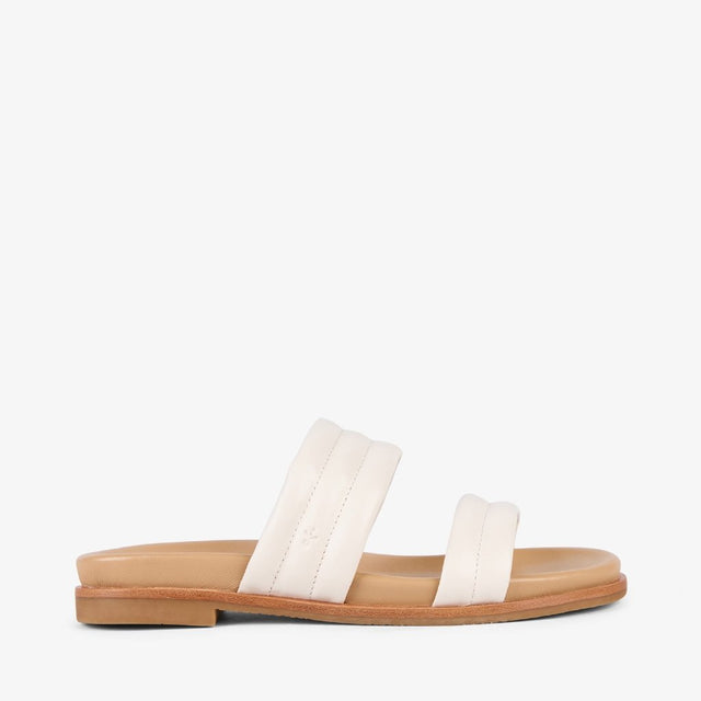 Bondi coconut