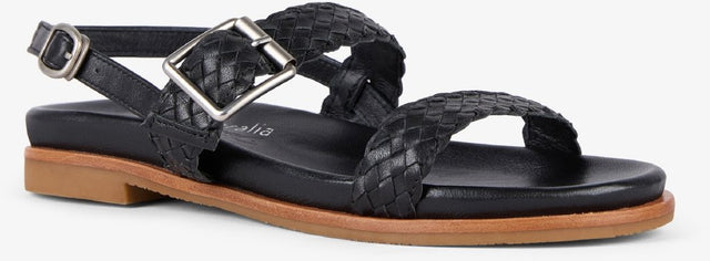Hyams black
