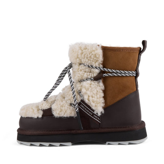 Blurred Teddy chestnut