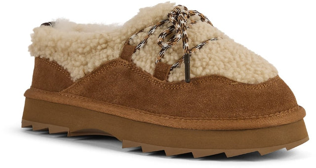 Hayley chestnut fin. Teddy
