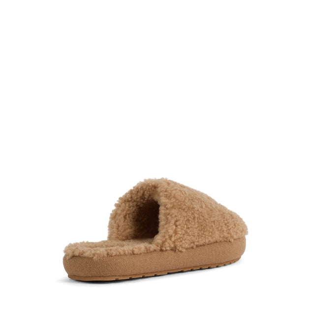 Starley camel