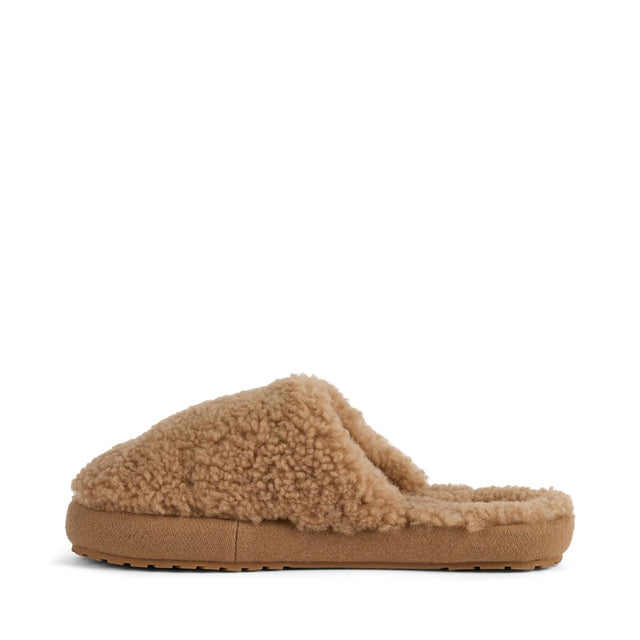 Starley camel