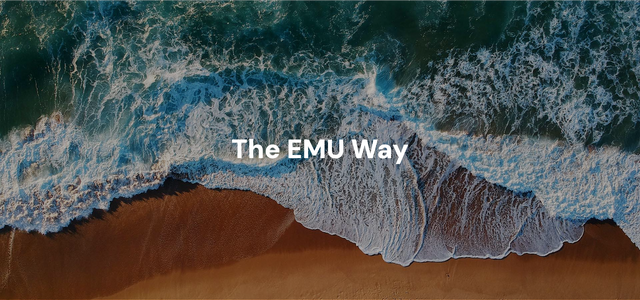 Veduta aerea panoramica di onde oceaniche che si infrangono sulla sabbia dorata, con testo bianco "The EMU Way"