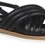 Borradaile black