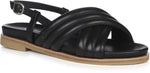 Borradaile black