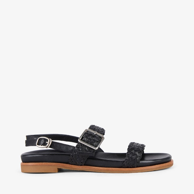 Hyams black