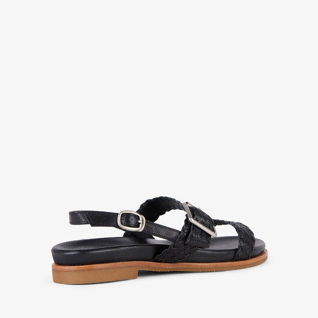 Hyams black
