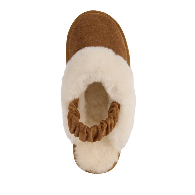 Hartz Clog chestnut