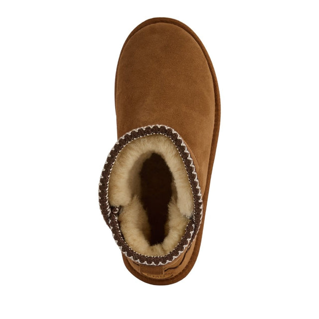 Sammy chestnut